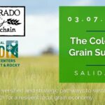 Grain Summit Logo